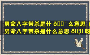 男命八字带杀是什 🐴 么意思（男命八字带杀是什么意思 🦅 呀）